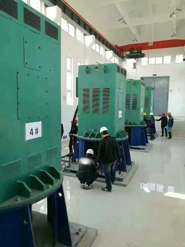 沅江某污水处理厂使用我厂的立式高压电机安装现场